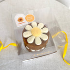 Primavera Cake