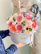 Box de Gerberas