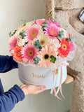 Box de Gerberas