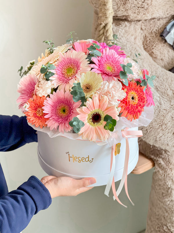 Box de Gerberas