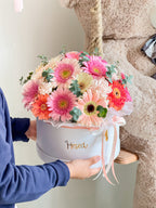 Box de Gerberas