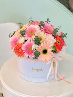 Box de Gerberas