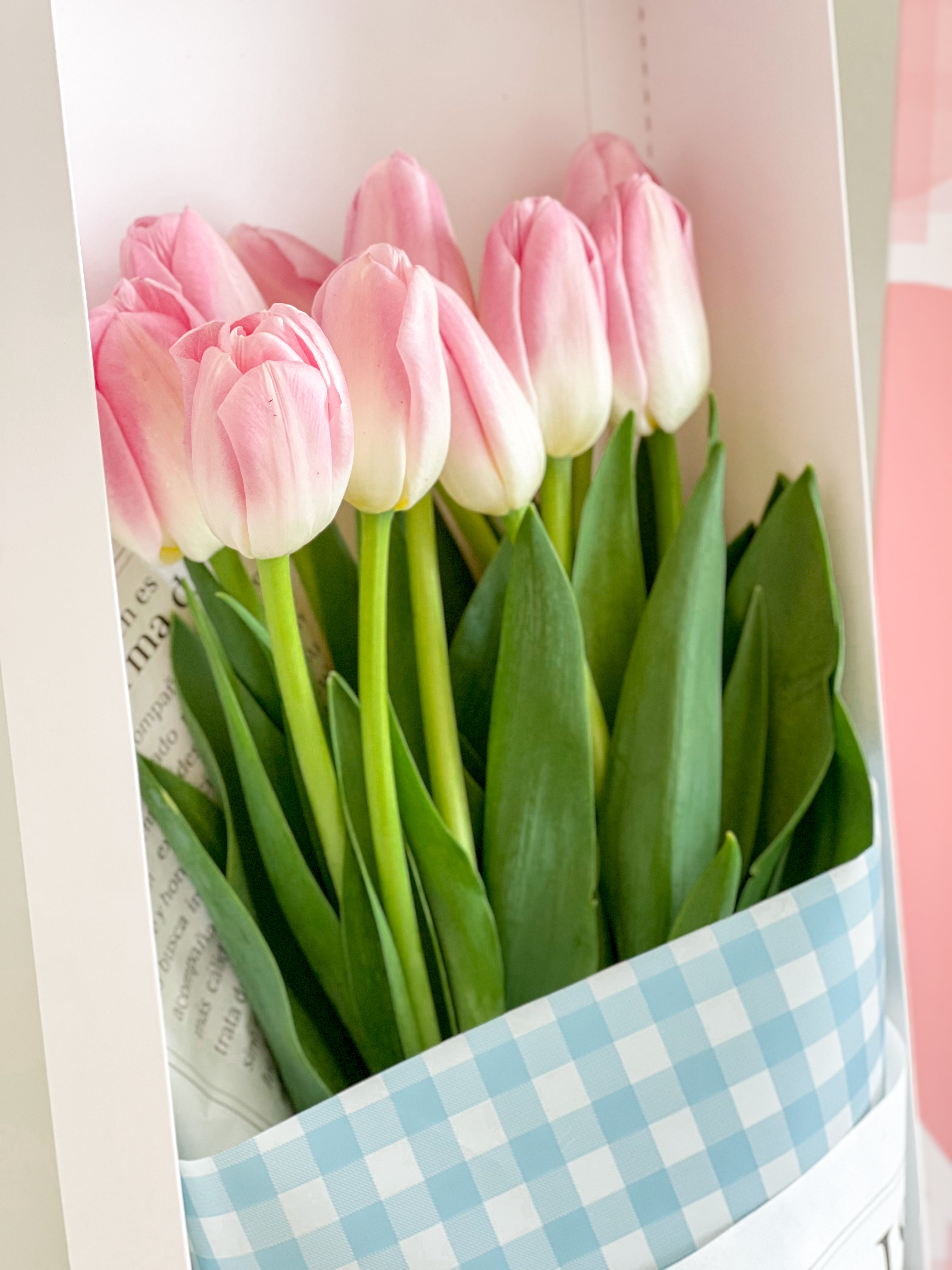 Caja tulip