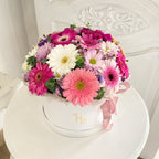 Box de Gerberas