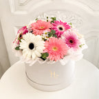 Box de Gerberas